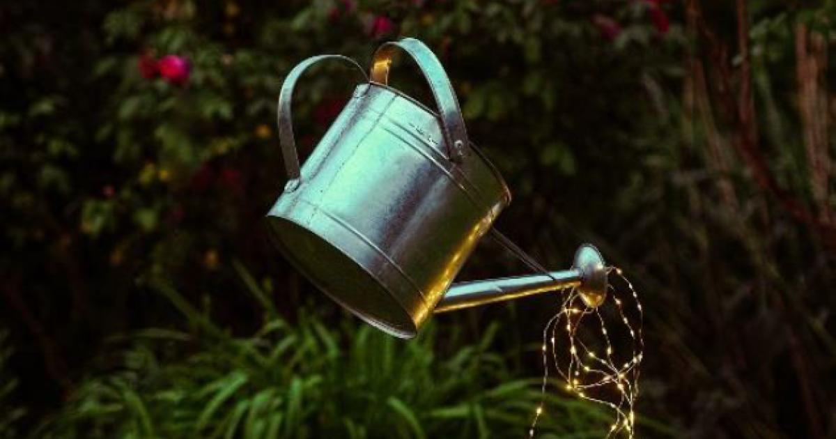 Der geheime Garten Theater der Jugend
